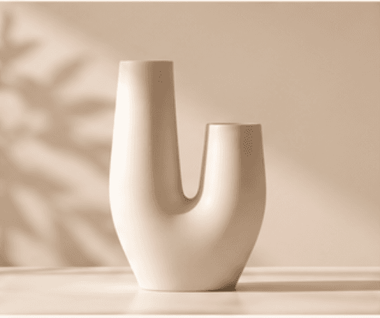 Dual-Chamber Ceramic Vase